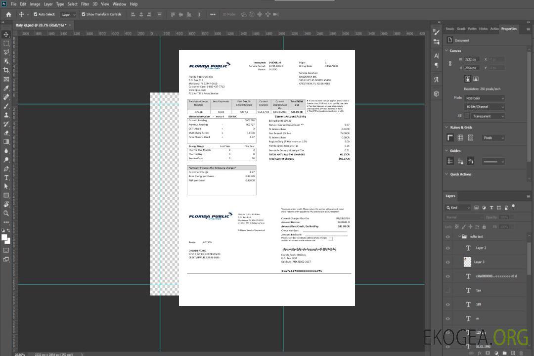Modèle de facture de services publics des services publics des États-Unis, de Floride, aux formats Word et PDF template